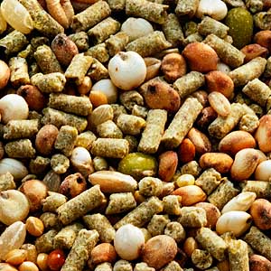 Garvo - 5036 Siervogelmix, 20 KG